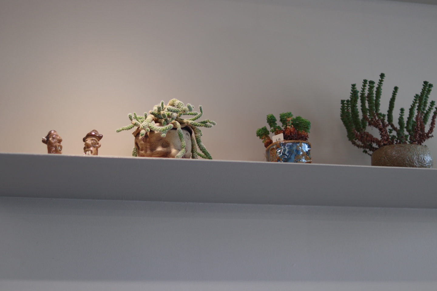 portfolio-image